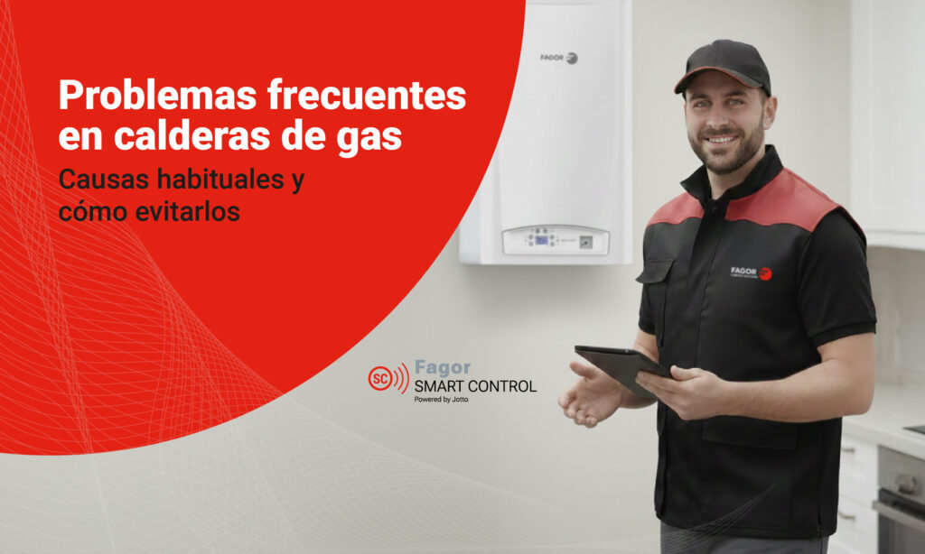 problemas frecuentes calderas de gas
